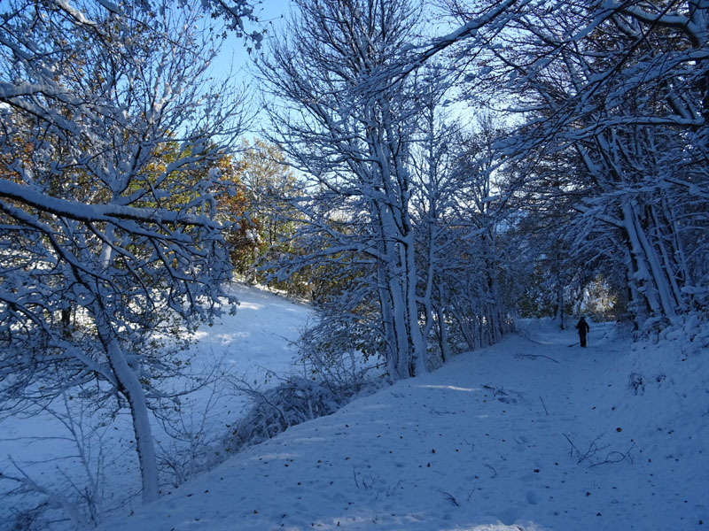 prime escursioni sulla neve....autunno  2019